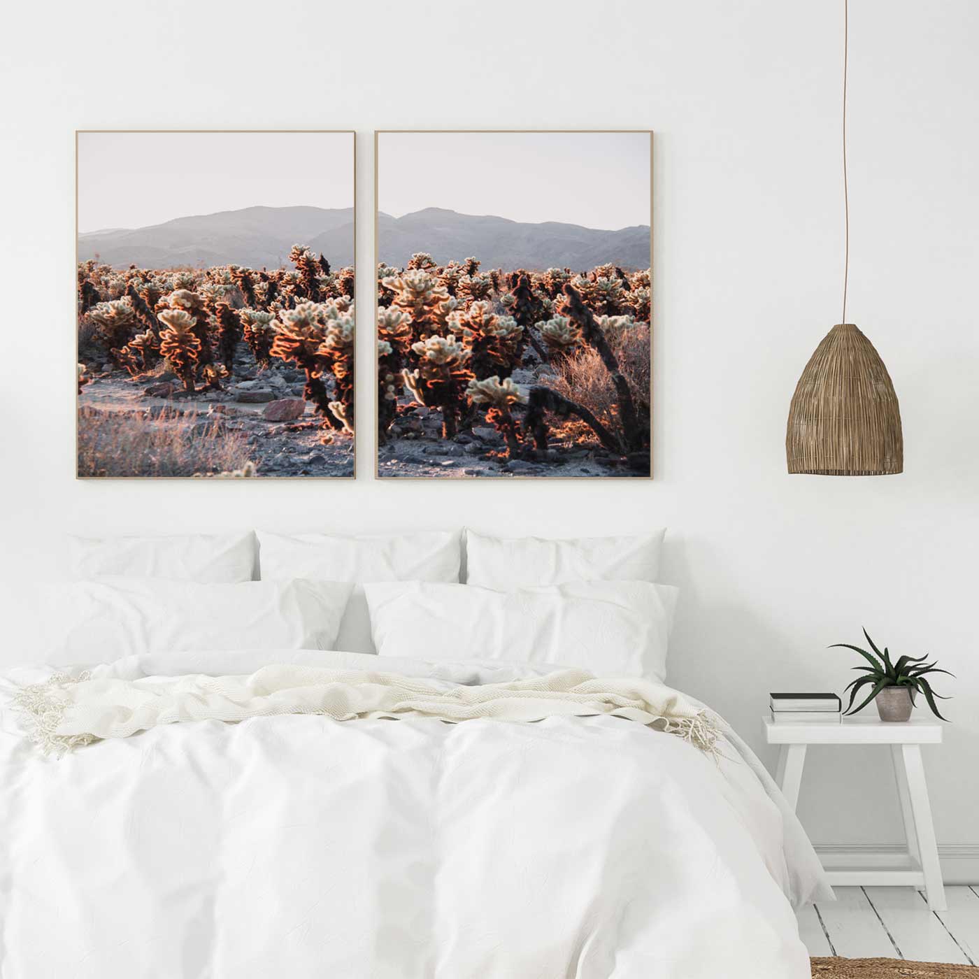 Photography print of Cholla Cactus Garden in California, ideal for bringing the serene atmosphere of the desert into your home.