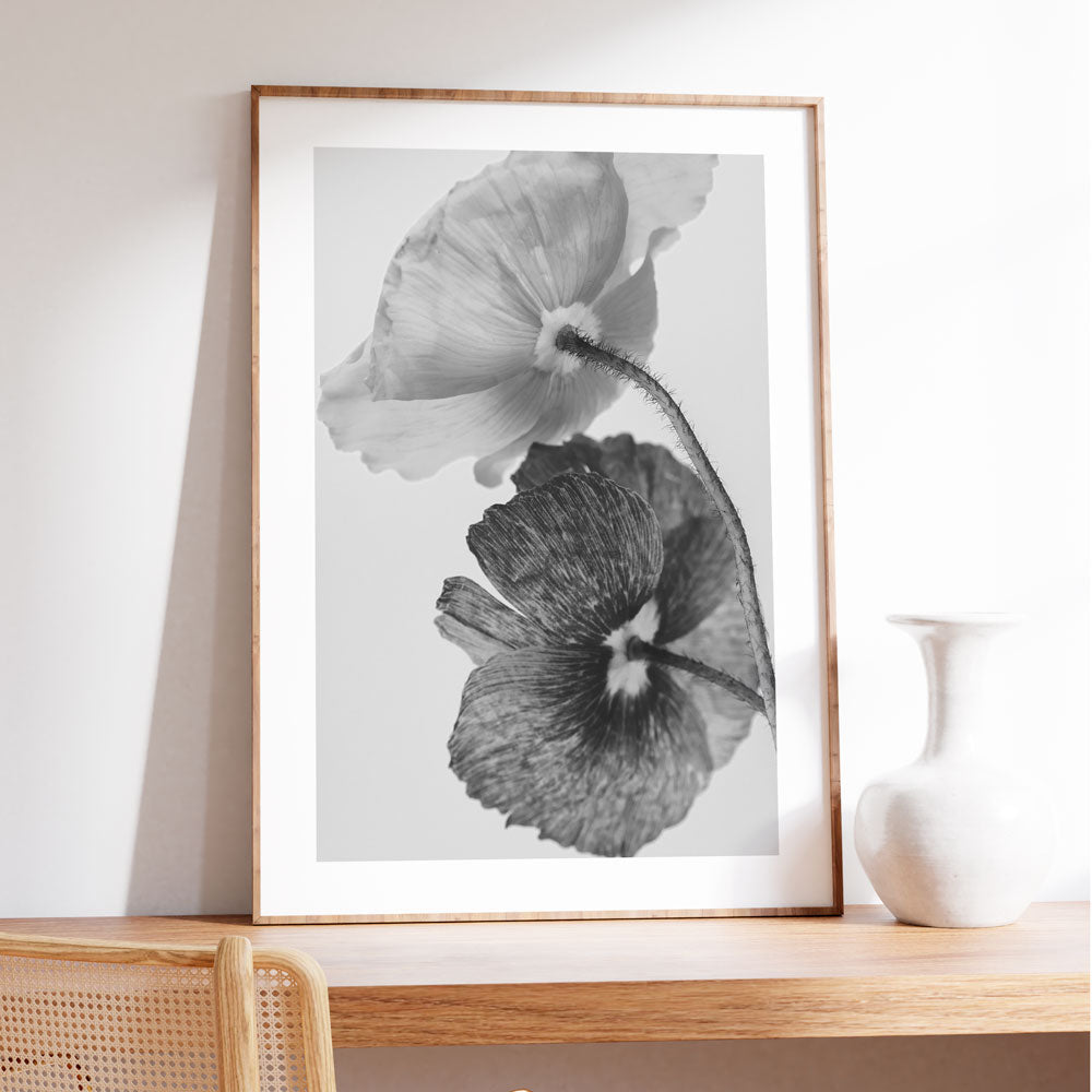 BW Poppies I Art Print