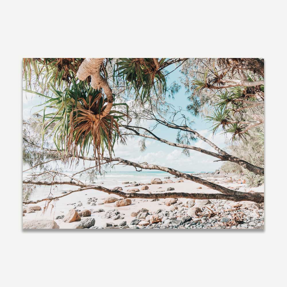 Wategos South End Art Print