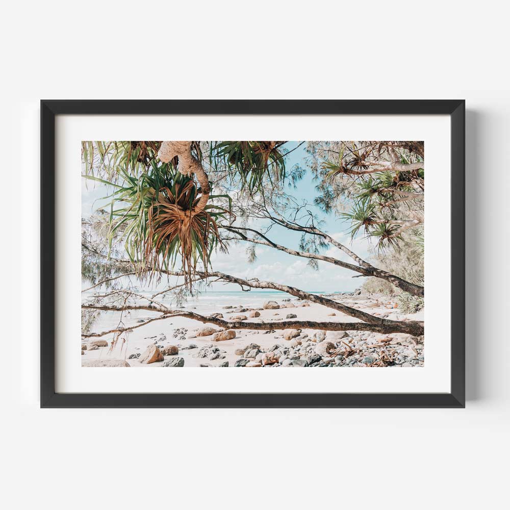 Wategos South End Art Print