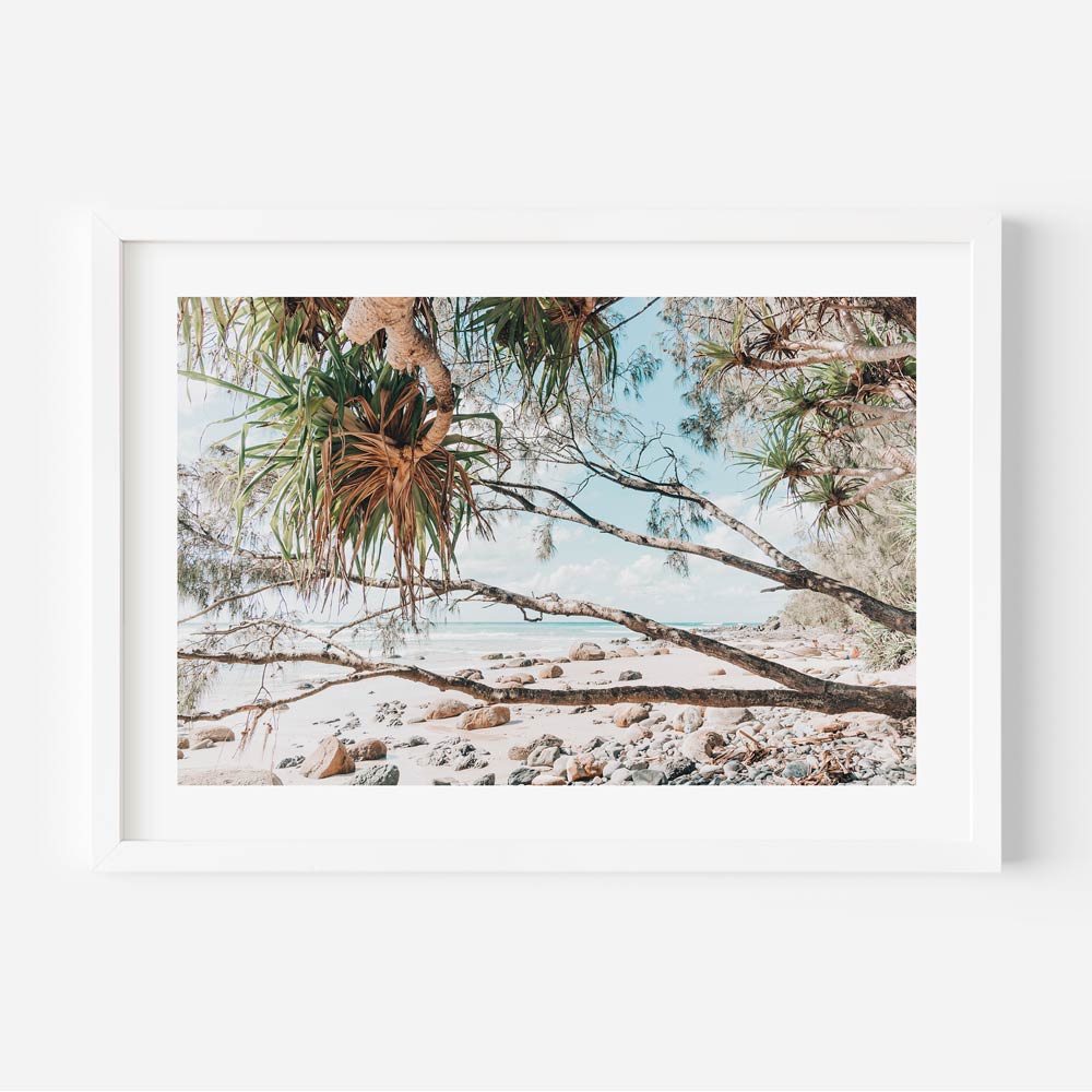 Wategos South End Art Print