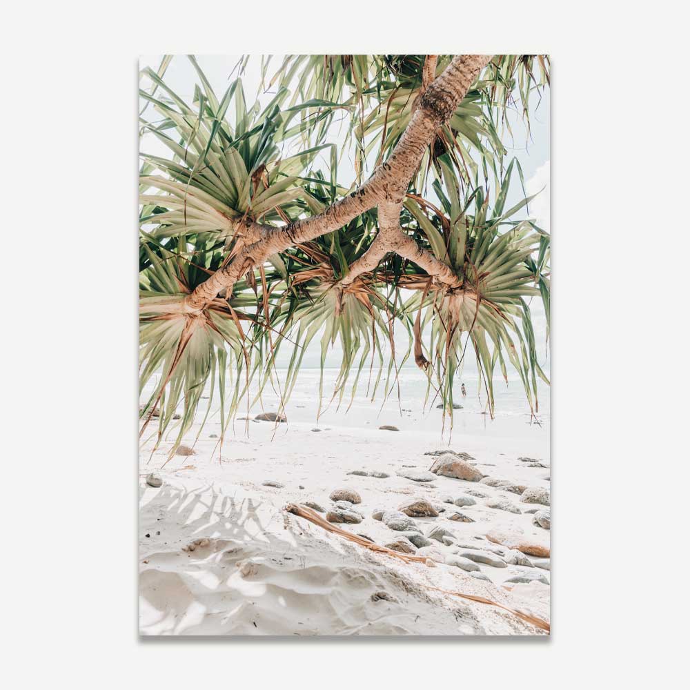 Wategos Pandanus Art Print
