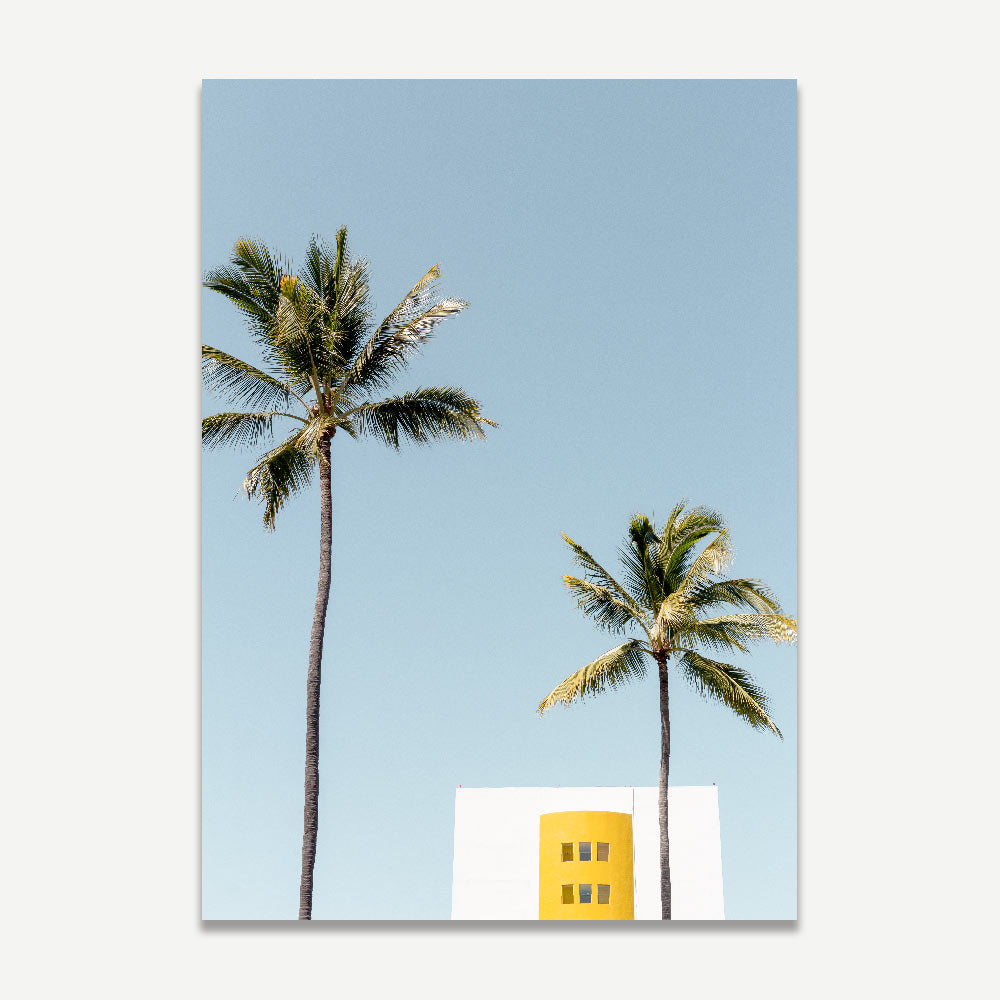 Mexico Palms Art Print