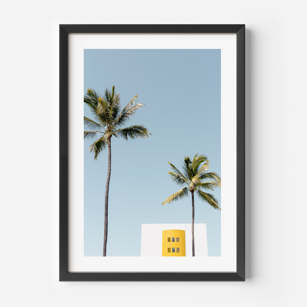 Mexico Palms Art Print