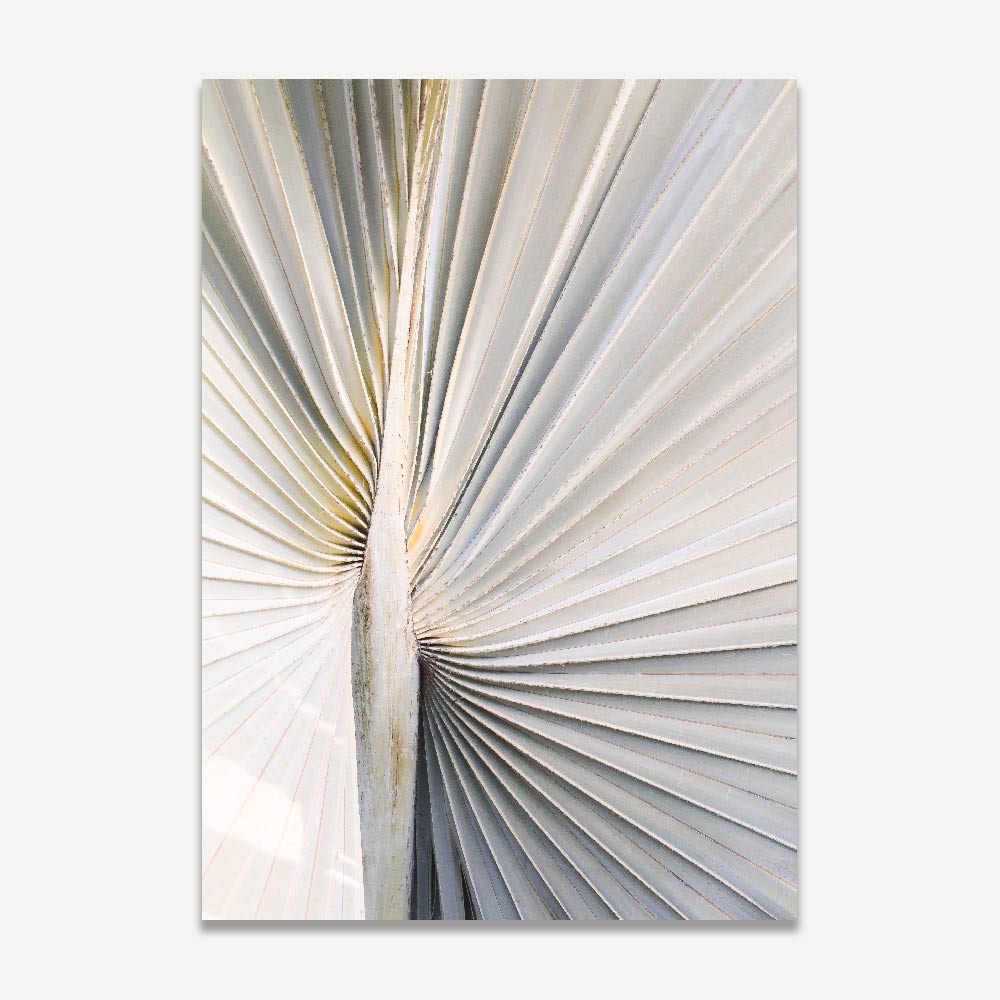 Silver Palm Art Print