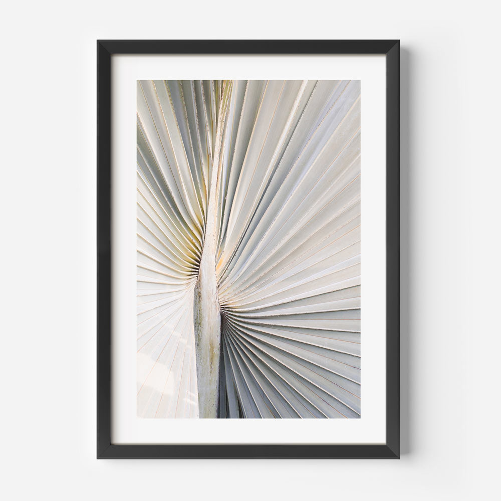 Silver Palm Art Print