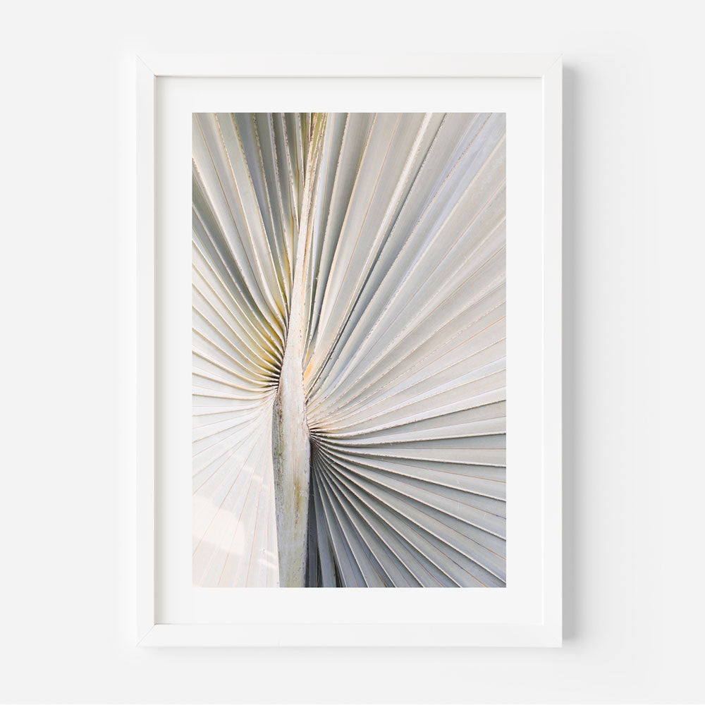 Silver Palm Art Print