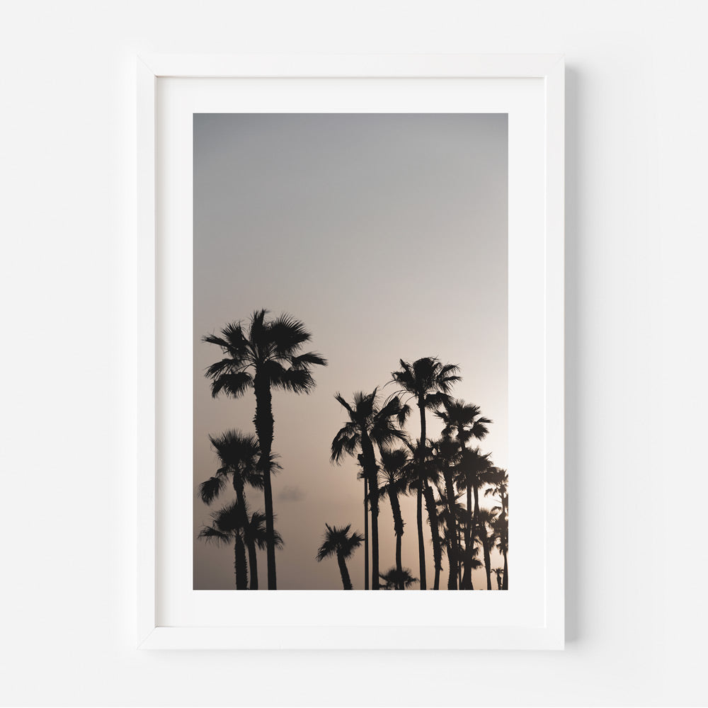 Moody Palms: California palm trees evening canvas prints for home decor.