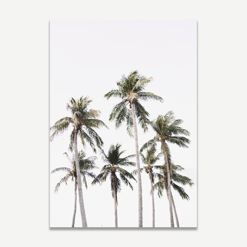 Mindil Coconut Trees Art Print