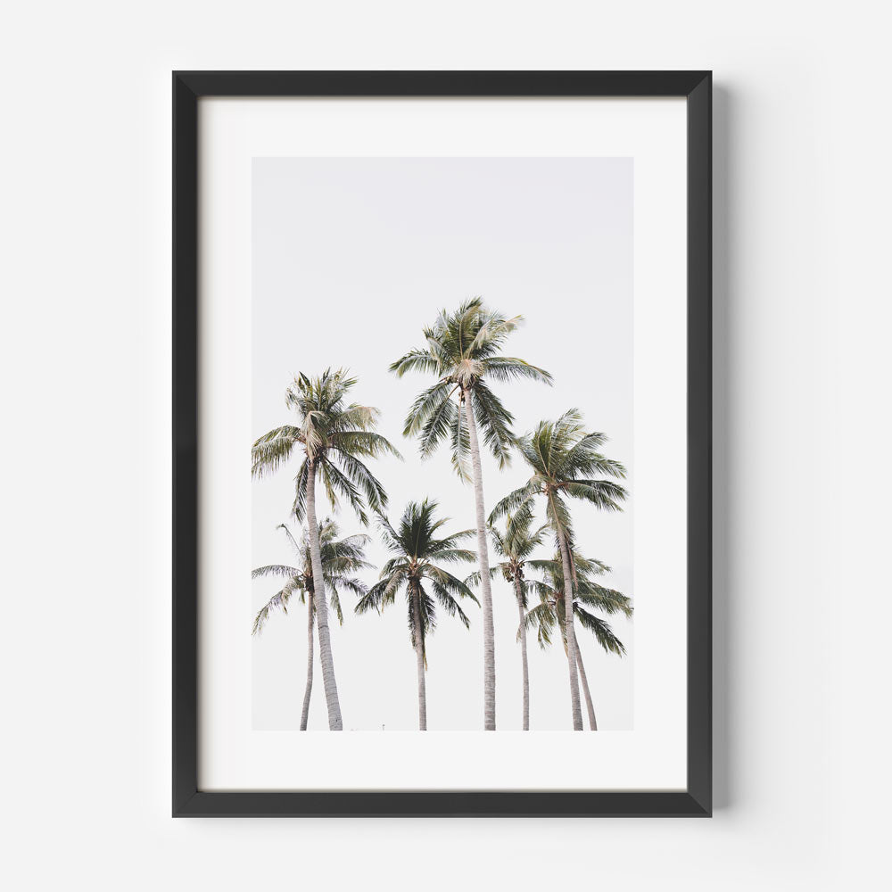 Mindil Coconut Trees Art Print