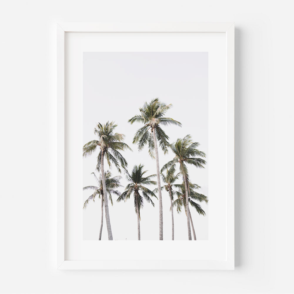 Mindil Coconut Trees Art Print