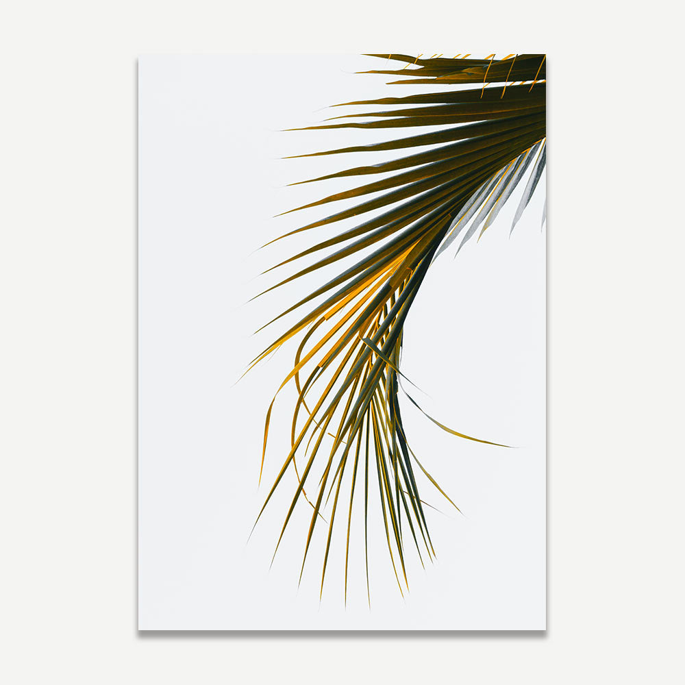 Coconut Palm Frond Art Print