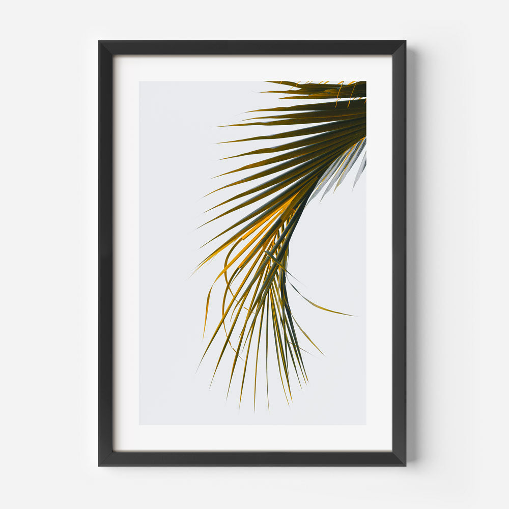Coconut Palm Frond Art Print