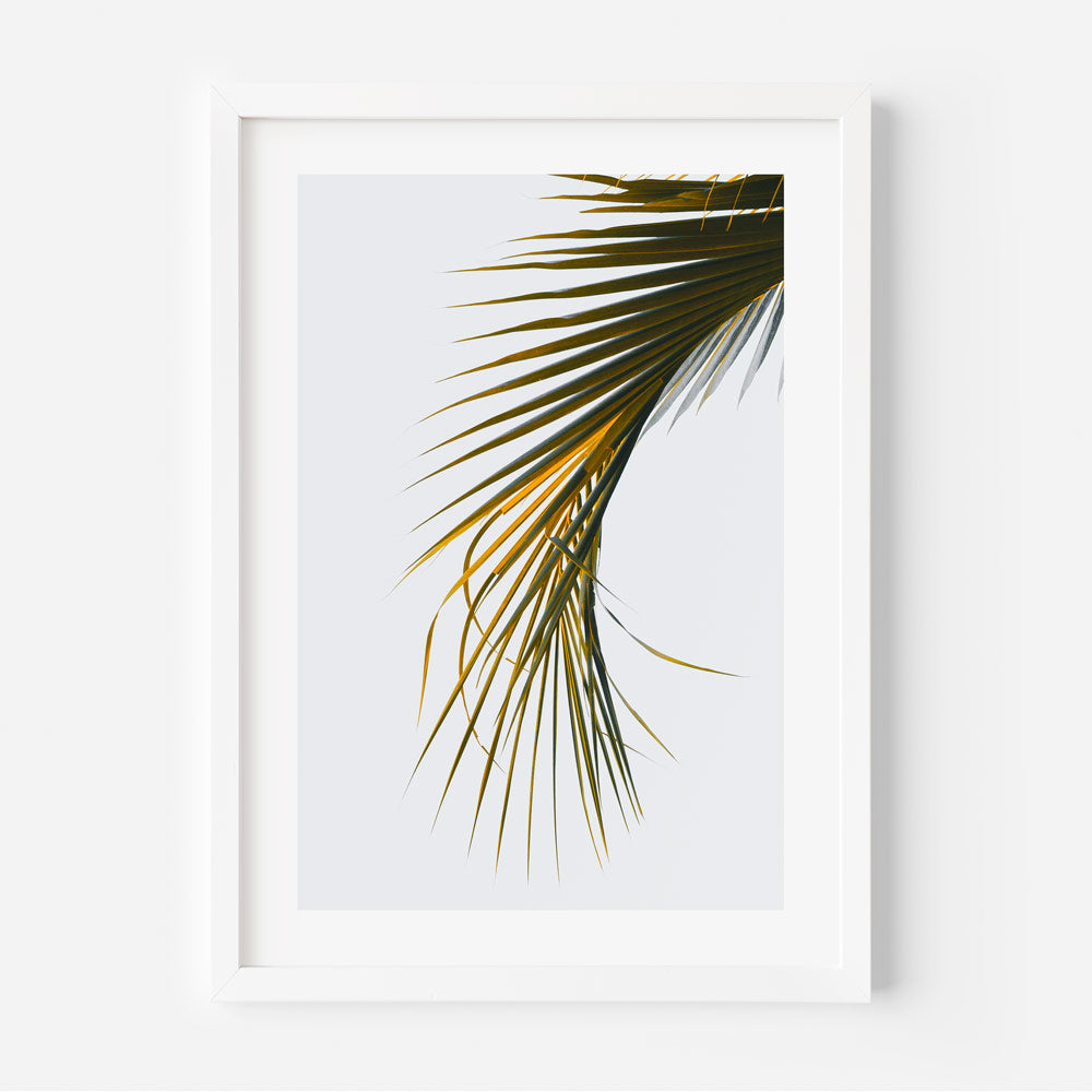 Coconut Palm Frond Art Print