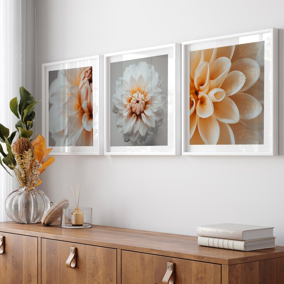  Beautiful white flower with orange petals on a grey background - wall artwork from Oblongshop.