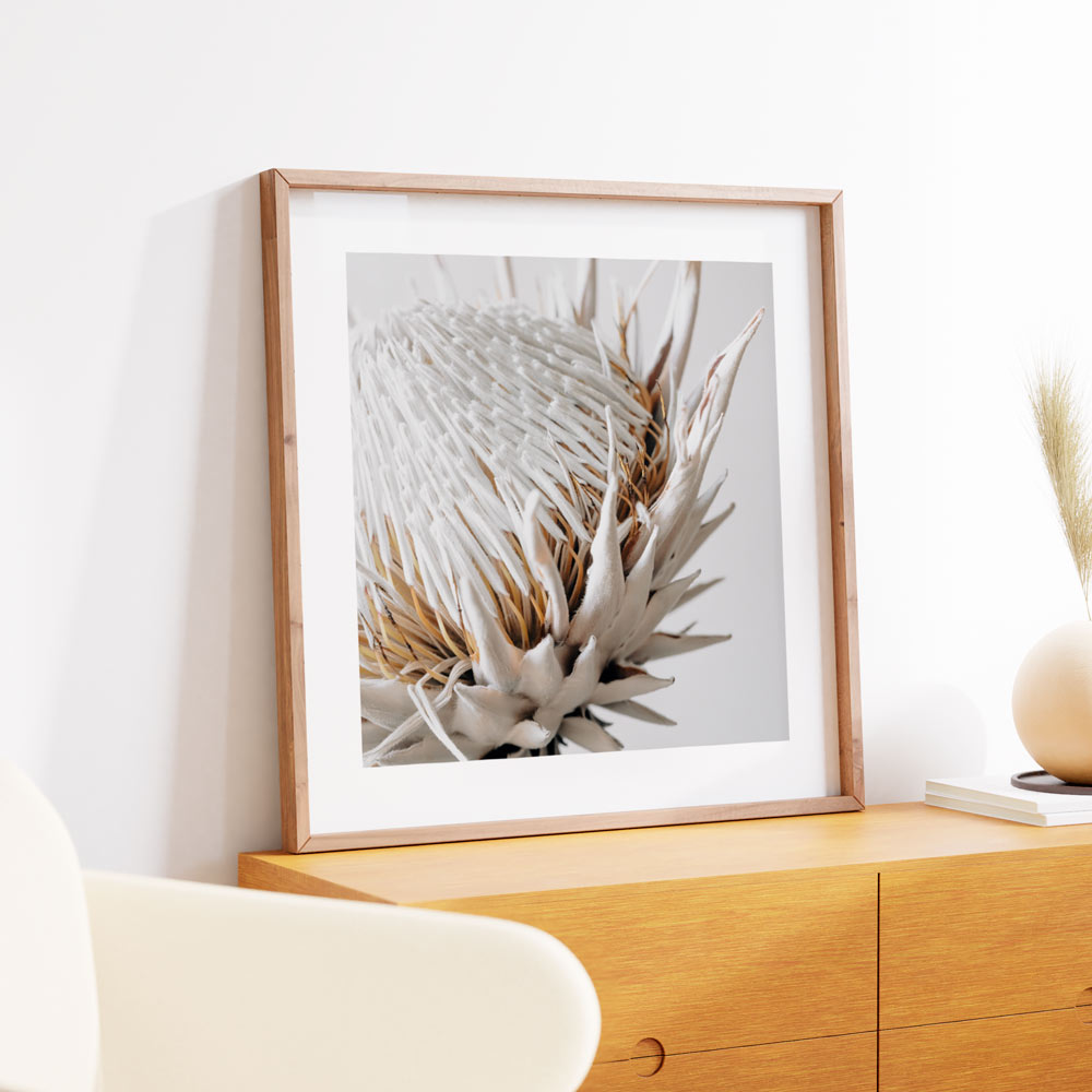 Framed photo capturing the intricate details of a Dry Protea original photography print, ideal for modern wall art.