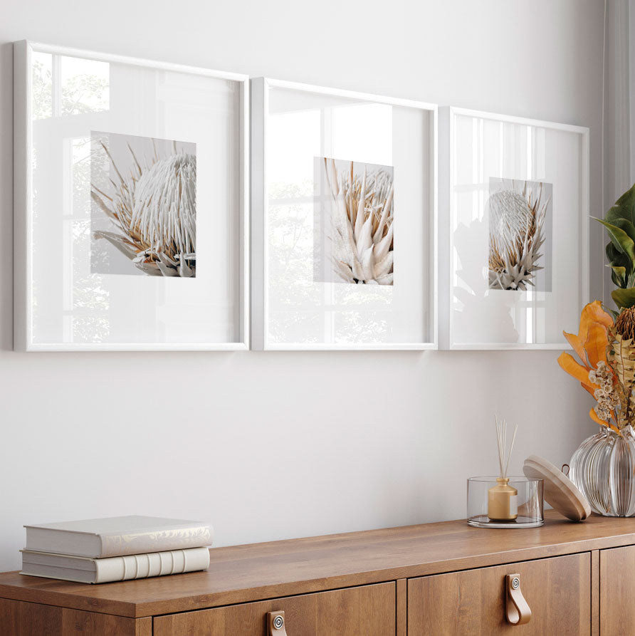 Botanical Beauty: Dry Protea showcased in a white frame, offering timeless charm for any room.