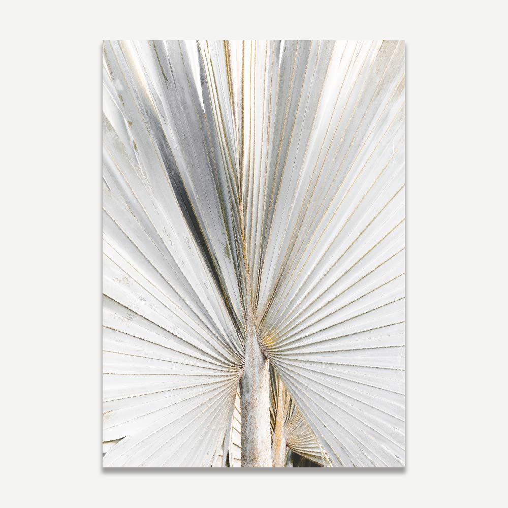 Silver Palm Frond Art Print