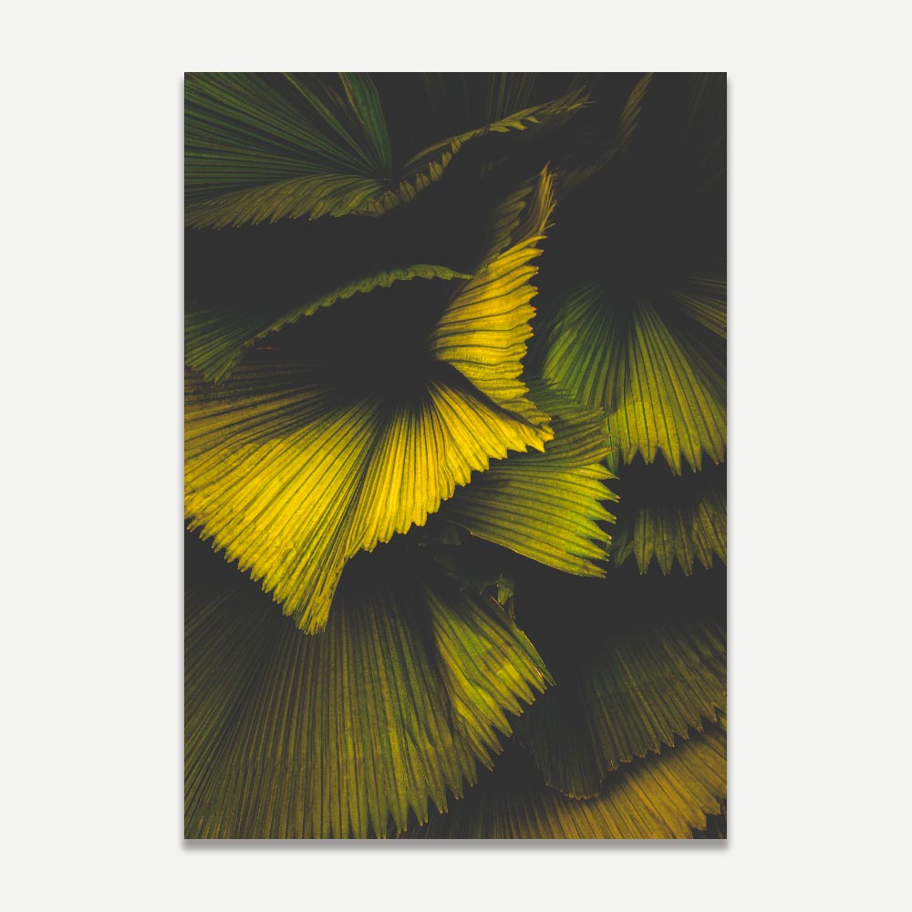 Fan Palm I Singapore Art Print