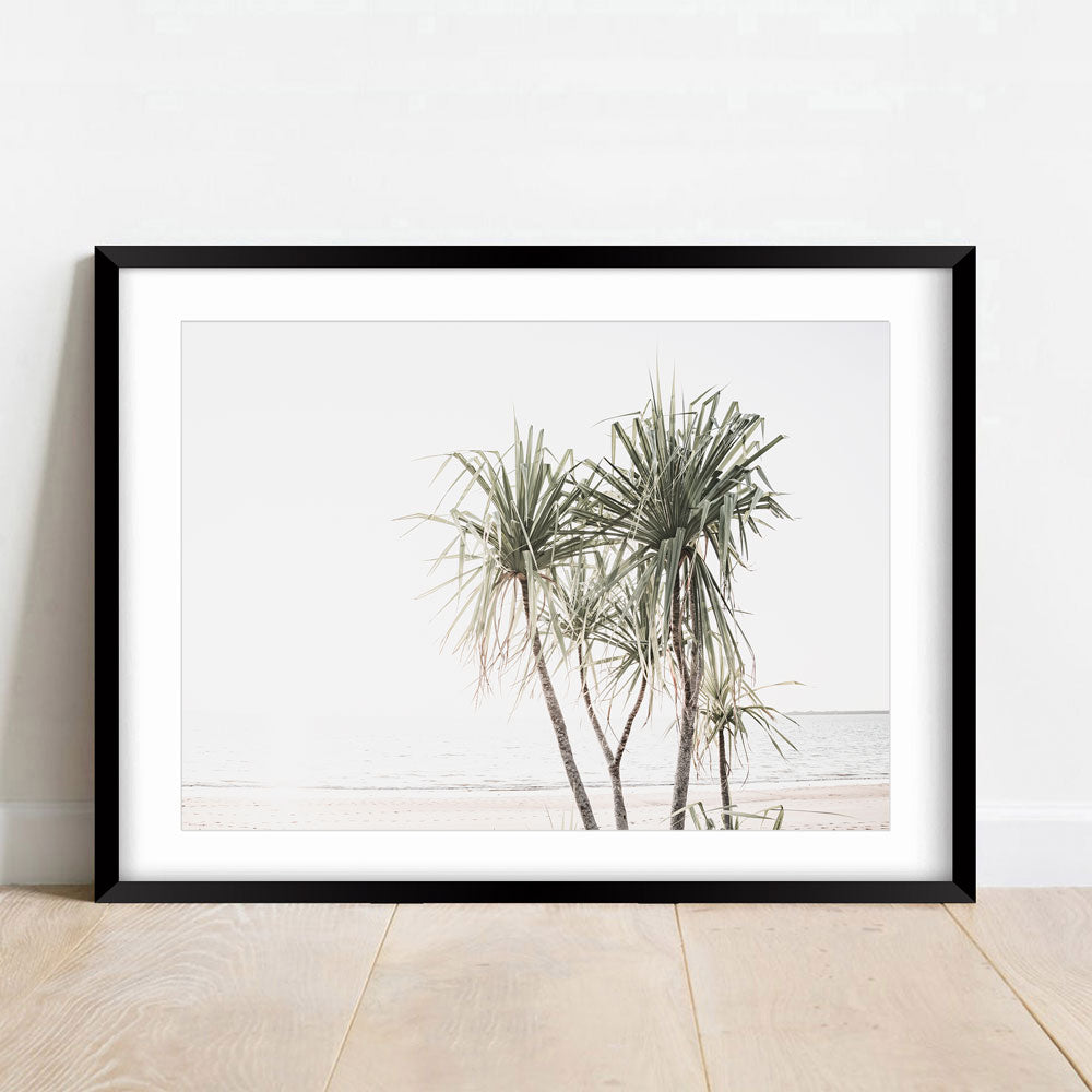 Pandanus Trees Sunset Art Print