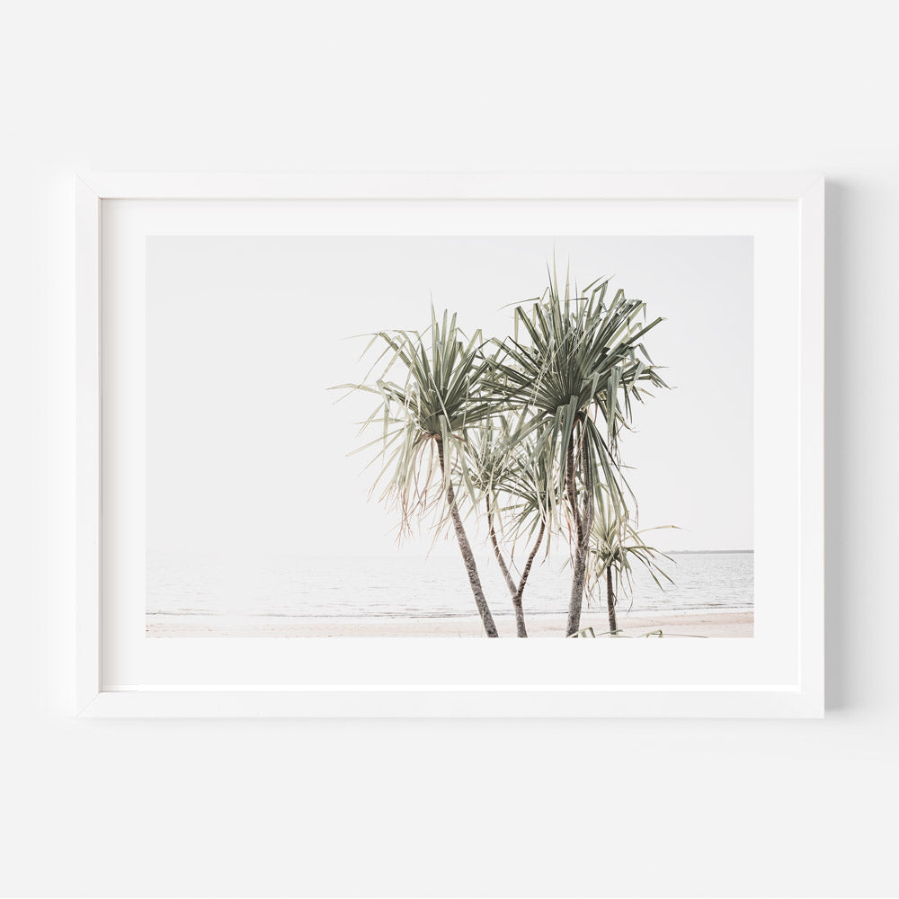 Pandanus Trees Sunset Art Print