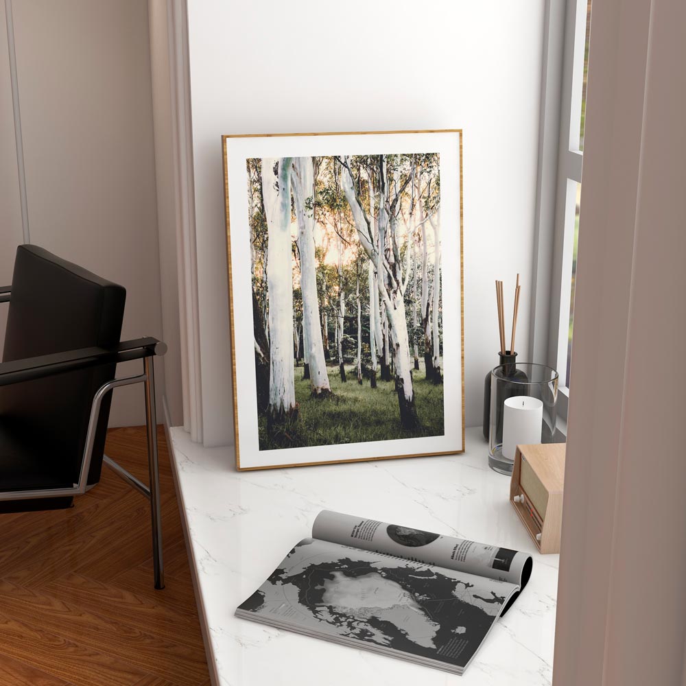 Stunning ghost gum forest wall art print from Oblongshop. Ideal for living room, office, or any space.