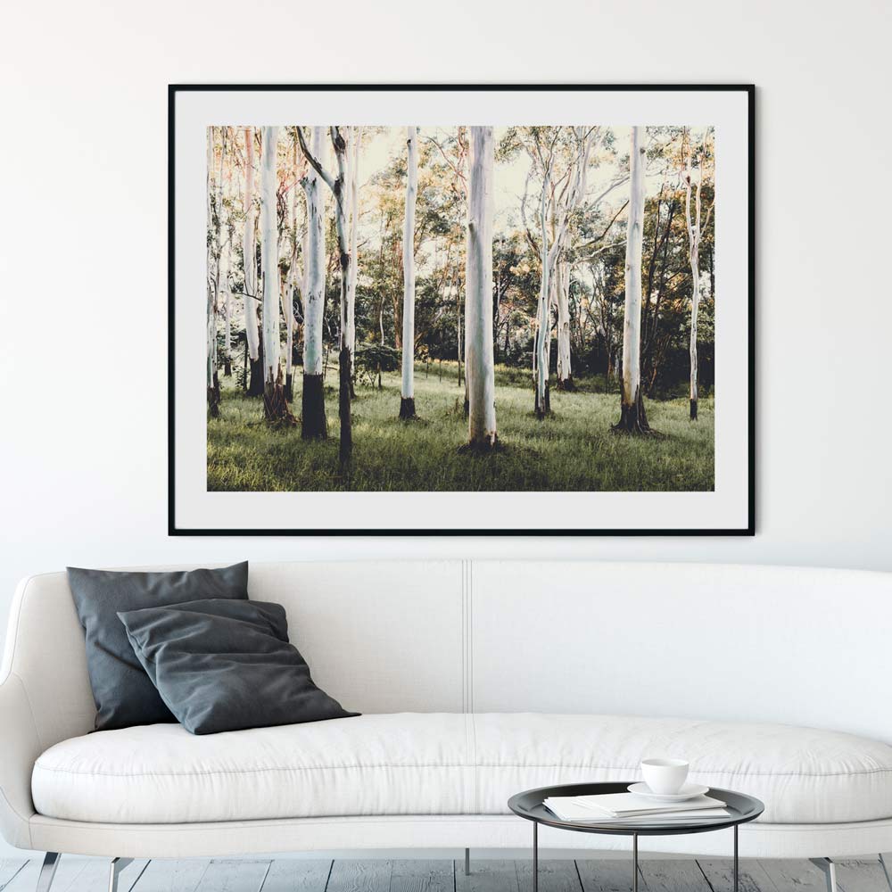 Ghost Gum forest in Australia captured in a beautiful print, perfect for wall decor in any room.