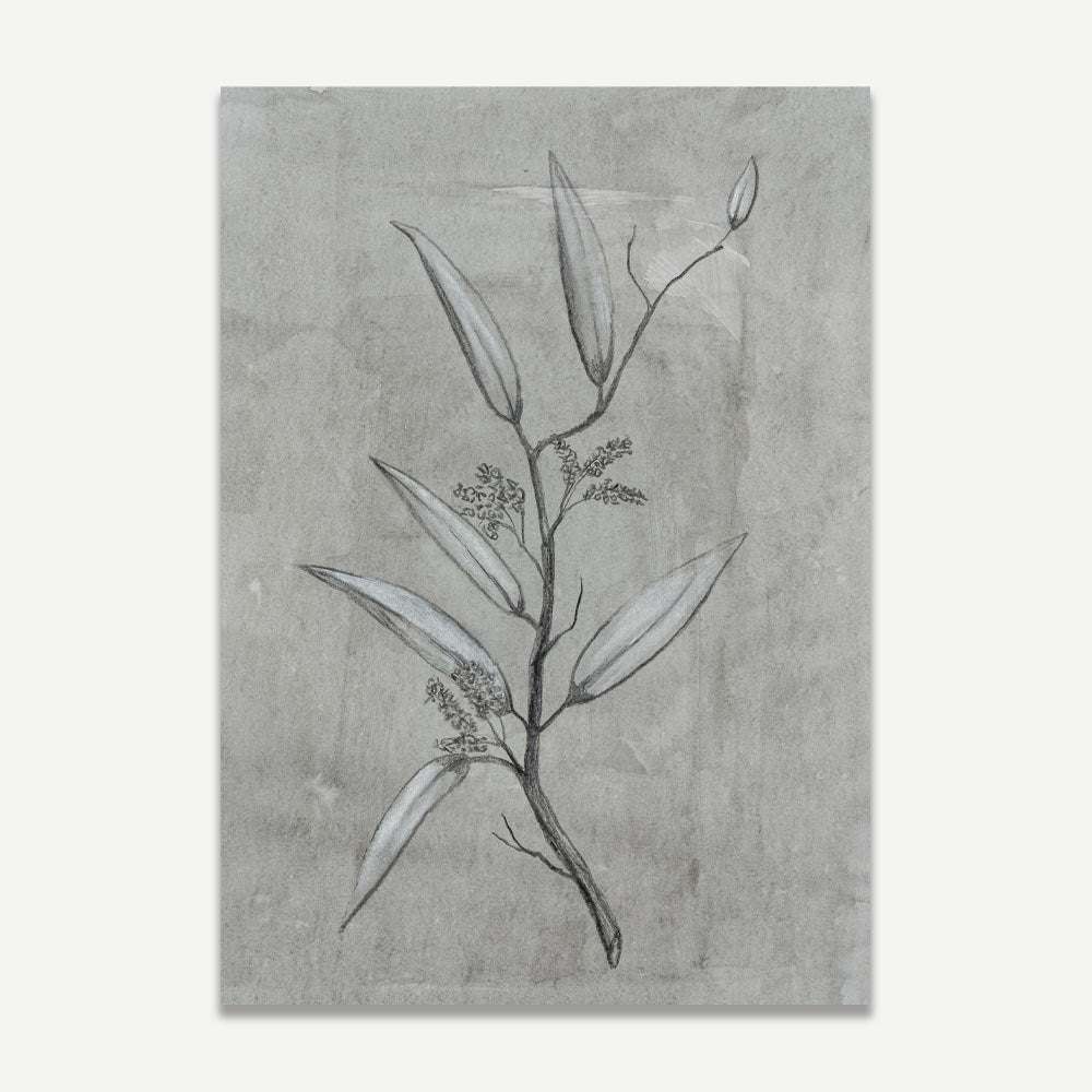 A black and white visual art piece depicting a plant with leaves on a grey background.