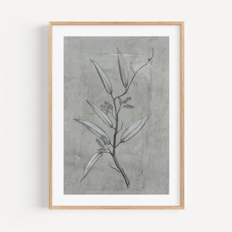 Grey Leaf I