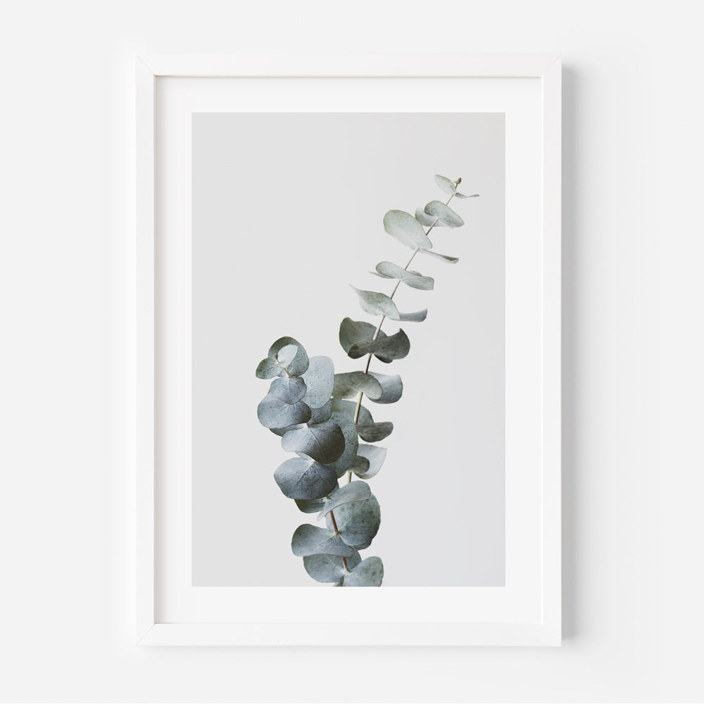 Eucalyptus Leaf Print: Green leaves with a natural pattern on a white background, perfect for botanical-themed wall decor.