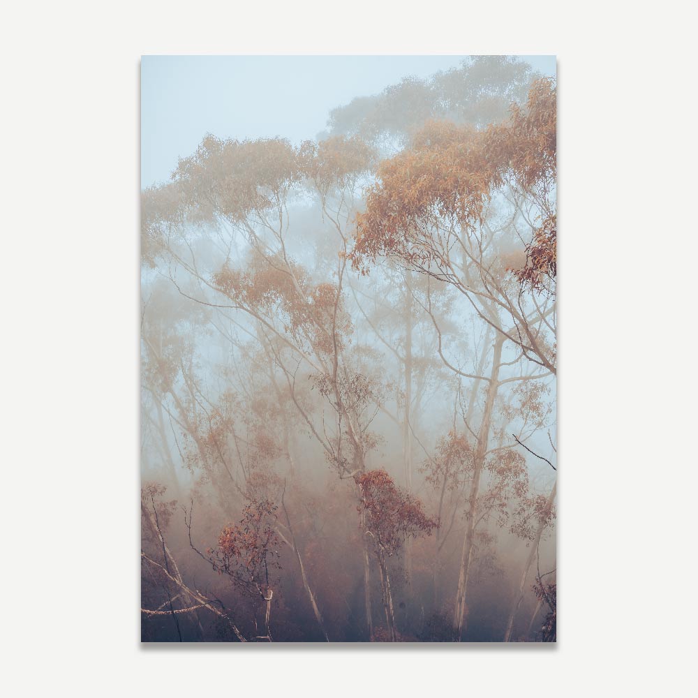 A photographic print of eucalyptus trees in mist, with predominantly blue and orange hues.