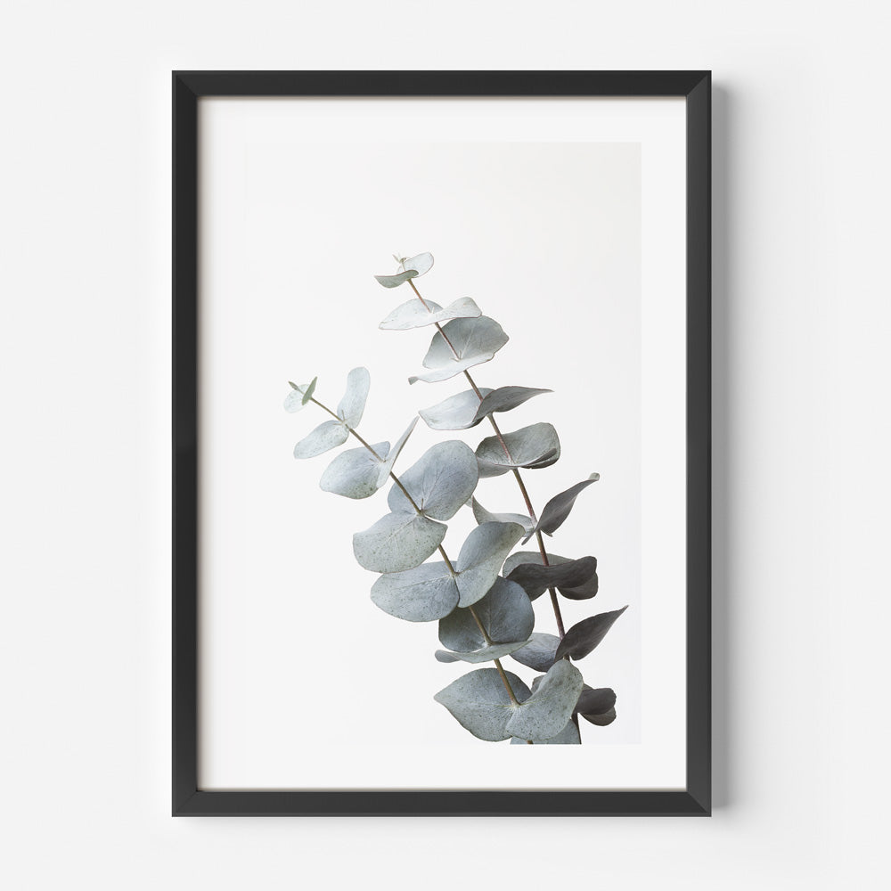 Gum Leaves III Art Print