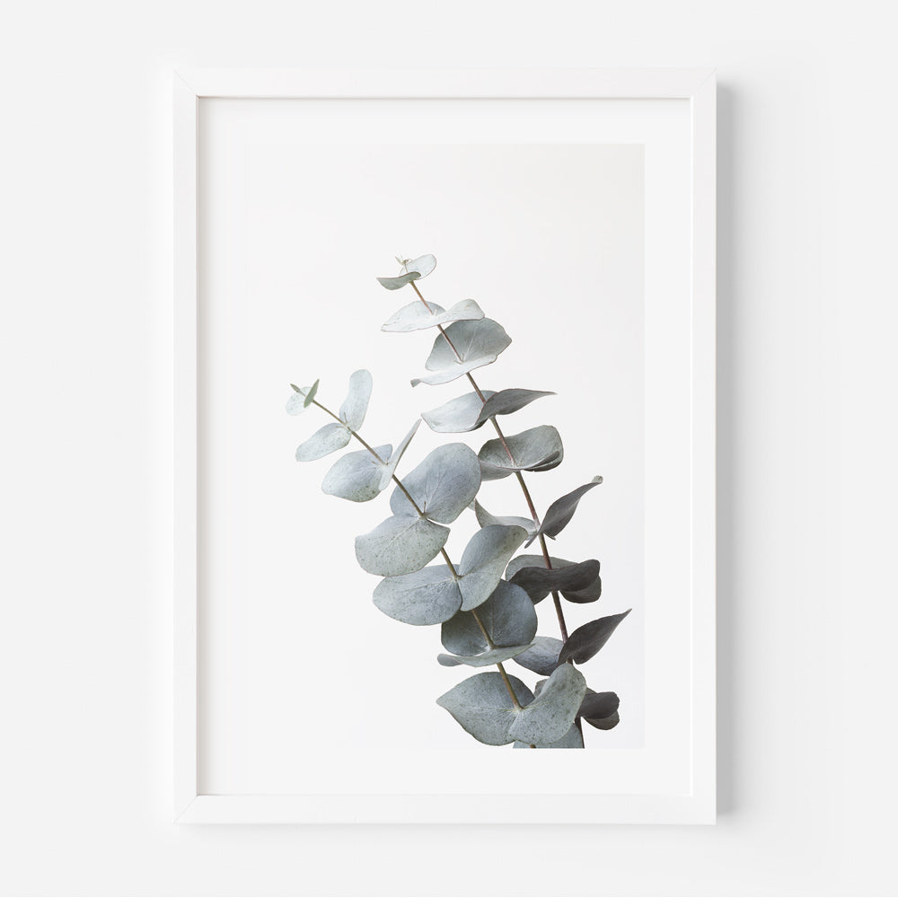 Gum Leaves III Art Print
