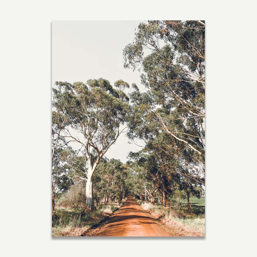 Set of 2 Art Prints - Country Road & White Gums II