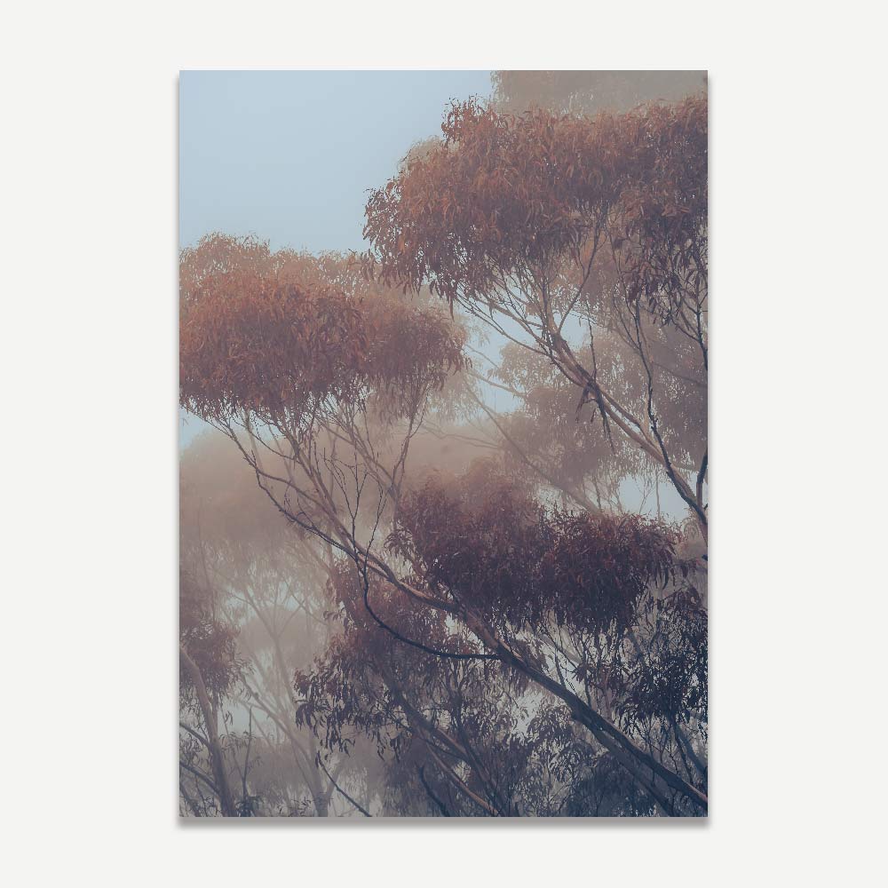 A photographic print of eucalyptus trees with a misty background, predominantly in shades of red and purple.