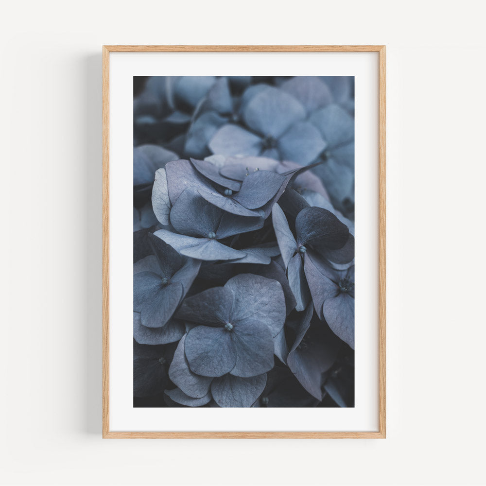 Hydrangea Greenery: Elevate your surroundings with this framed wall art featuring the lush leaves of the hydrangea plant, bringing a refreshing botanical accent to any room.