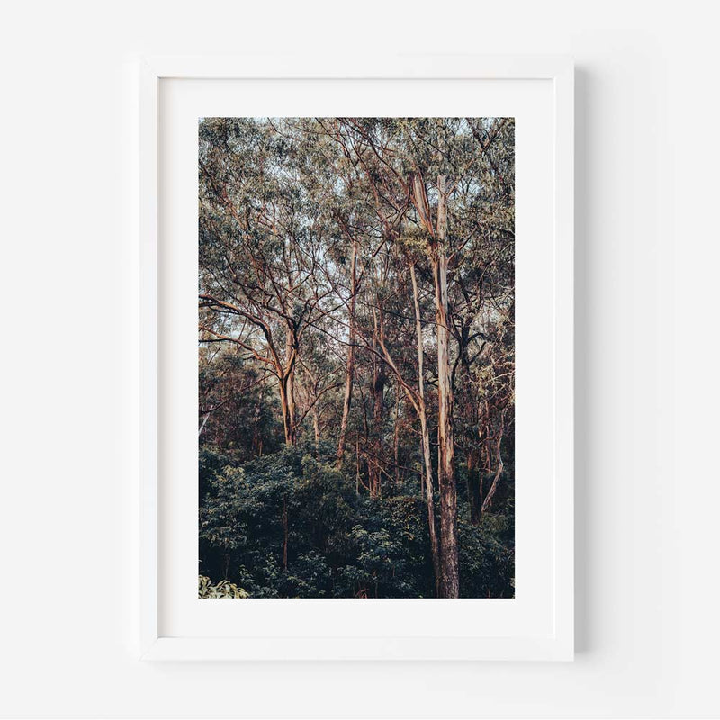 KV Bushland I