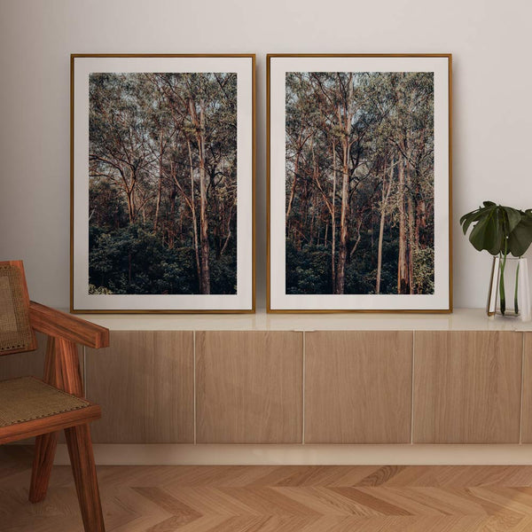 KV Bushland I