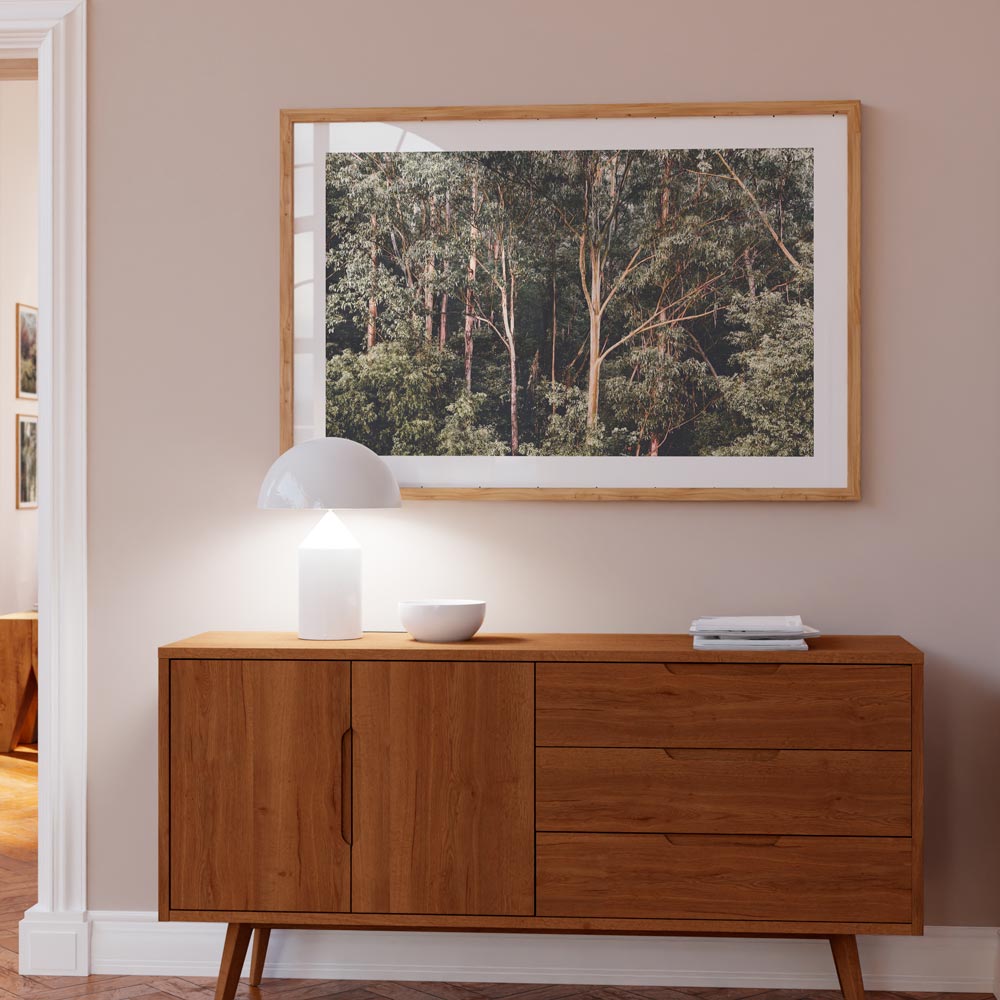Kangaroo Bushland Art Print