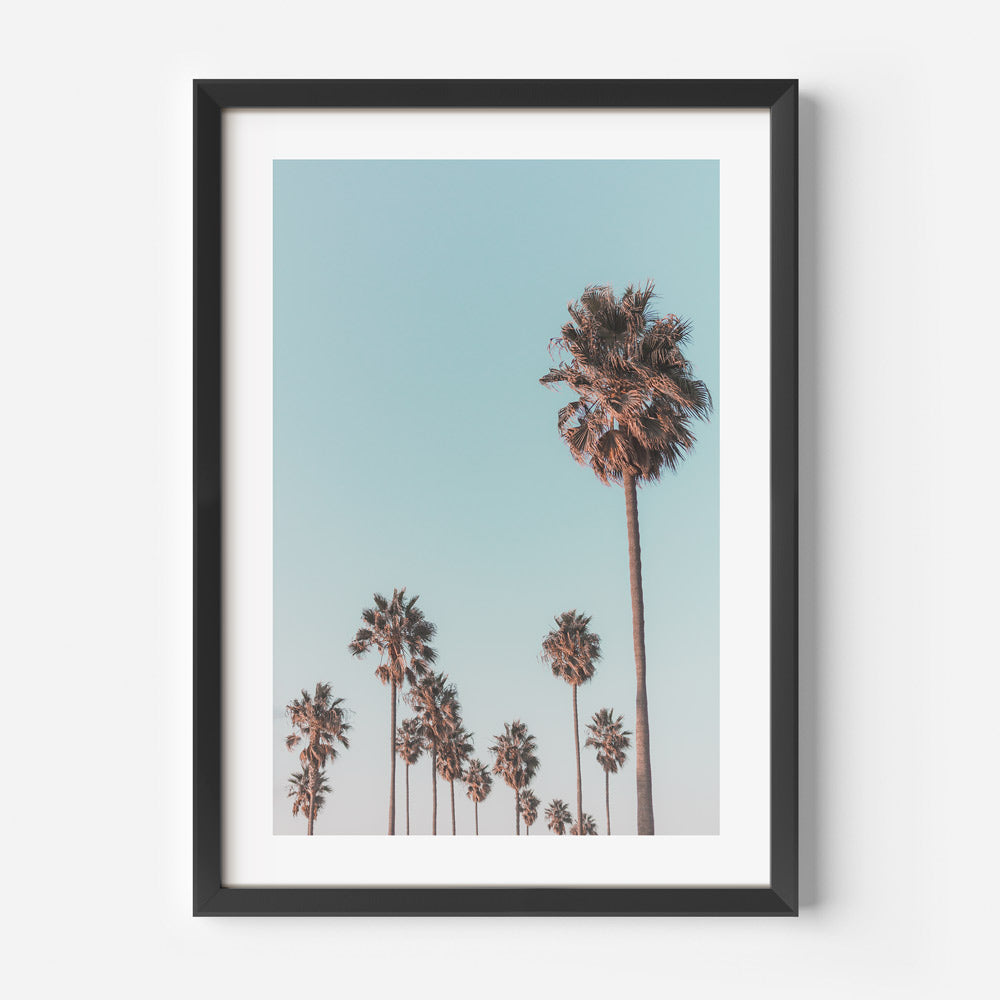 Coastal Wall Art: Tranquil poster capturing the essence of California palm trees. Adds serenity to any room. Fine art print for wall decor.
