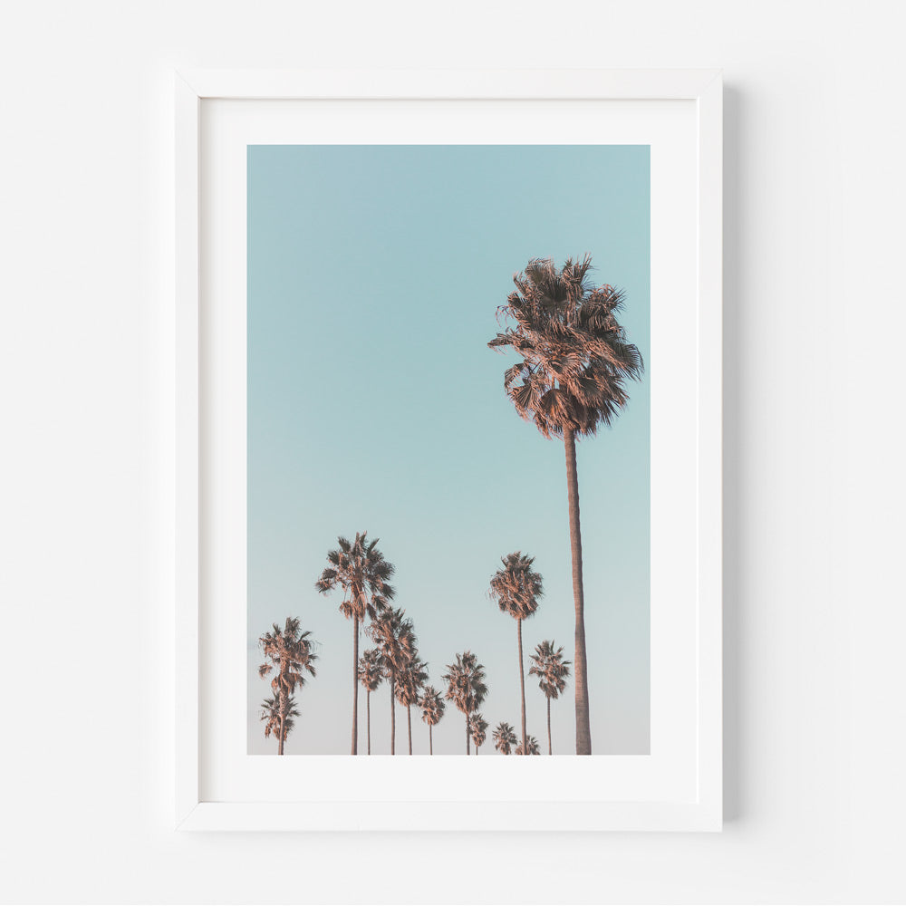 Serene wall art featuring palm trees against a blue sky backdrop in California. Ideal for home and office decor. Original photography print.