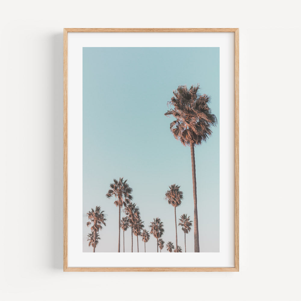 California Canvas Print: Beautiful image of palm trees against a blue sky. Elevate your space with coastal art. Available at our prints shop.