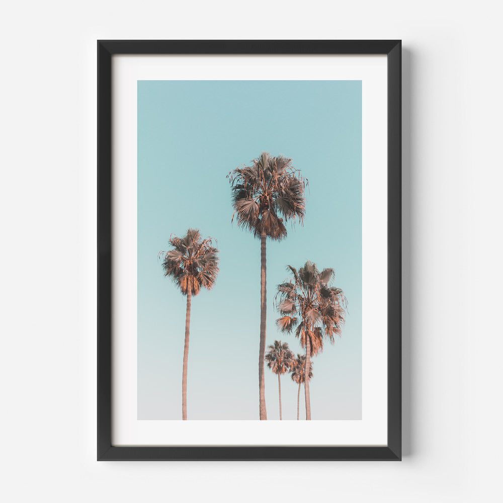 Wall art decor: LA palm trees framed photo with blue sky background