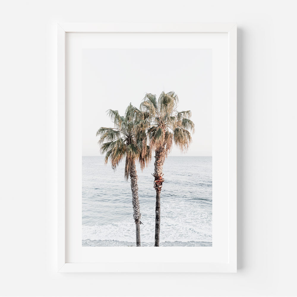 Palm trees by the ocean art print for wall decor - Real photography from Laguna Beach, CA