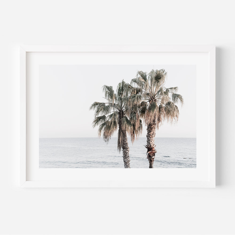 Palm trees by the sea - art print from Laguna Beach, CA.