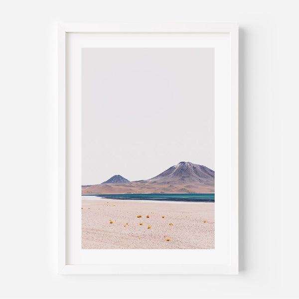 Lagunas Miscanti II