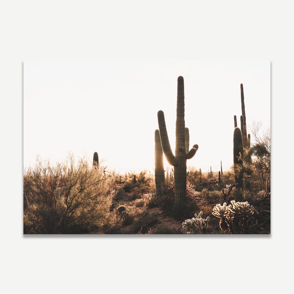 An art print featuring a landscape photograph of Saguaro cacti in the desert, predominantly green and yellow tones.