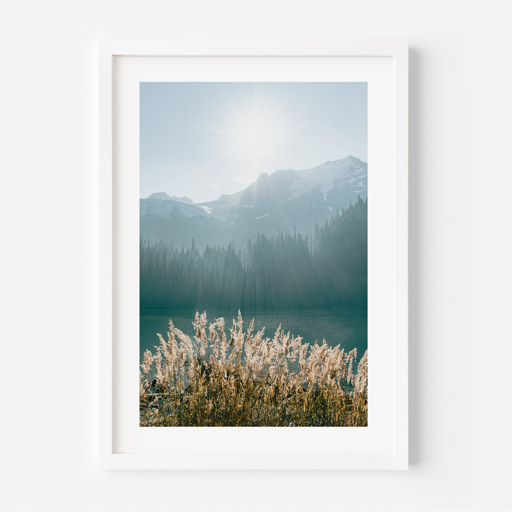 Experience the beauty of Joffre Lakes, British Columbia, with this framed photo of a mountain lake and sunlit reeds.
