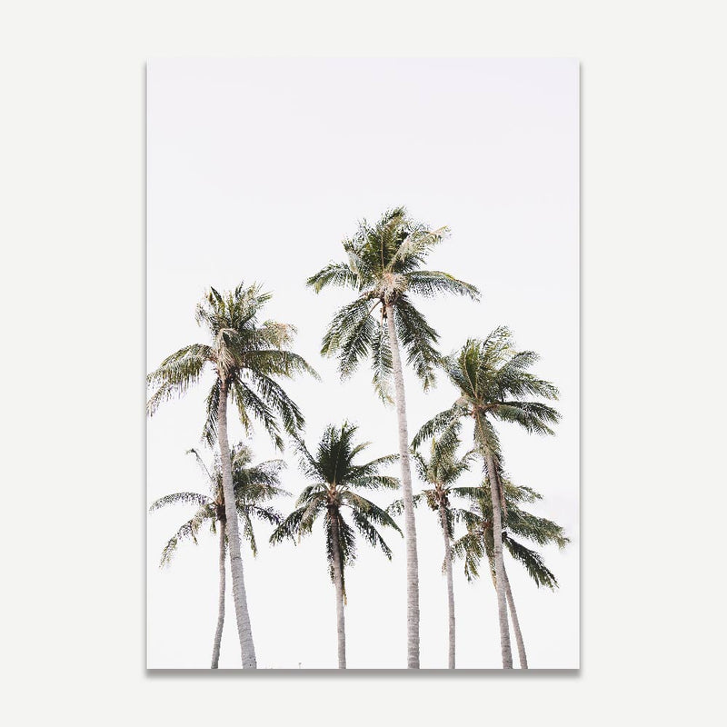 Set of 2 - Solo Coconut Palm & Mindil Palms II