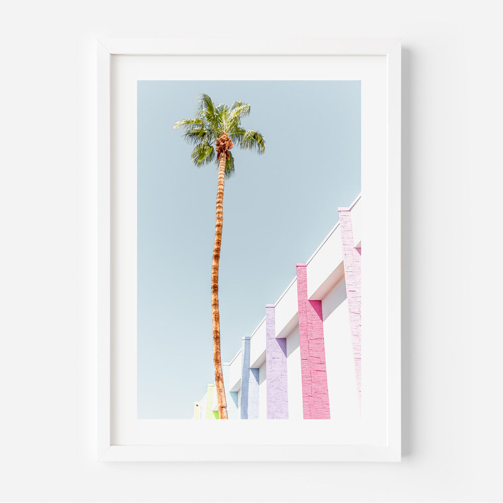 Colorful wall with a palm tree in a white frame, a stunning piece of wall art by Oblongshop.
